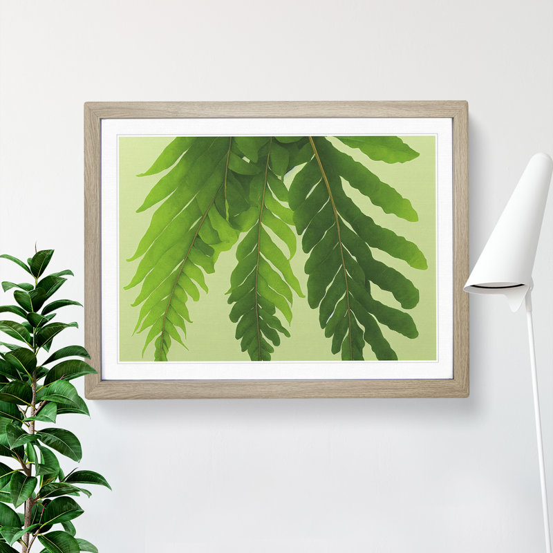 Unusual Fern Leaf - Framed Print, 34cm H x 46cm W x 2cm D, Oak