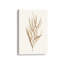 Toile tendue Tan Impressions II-1675637734
