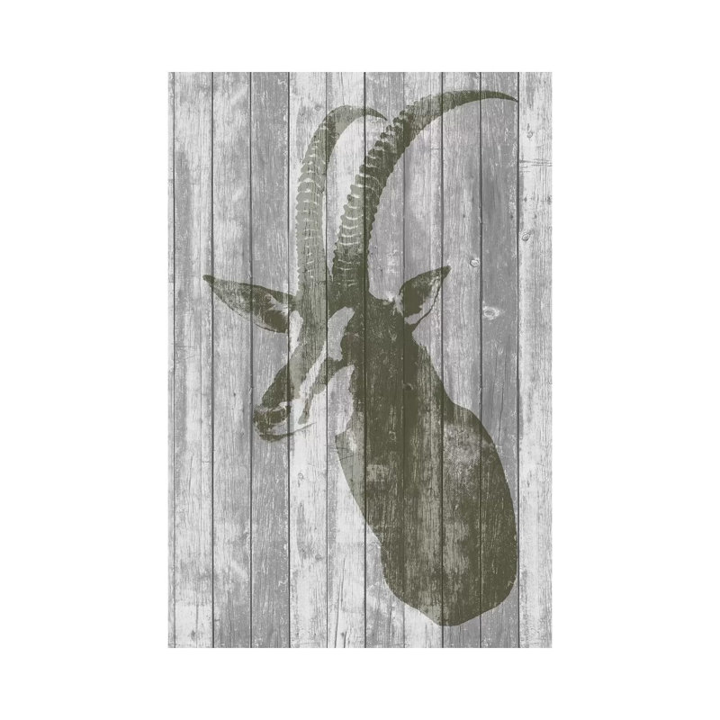 Rustic Bust II by Jennifer Goldberger - Wrapped Canvas Print, 20.32 cm H x 30.48 cm W