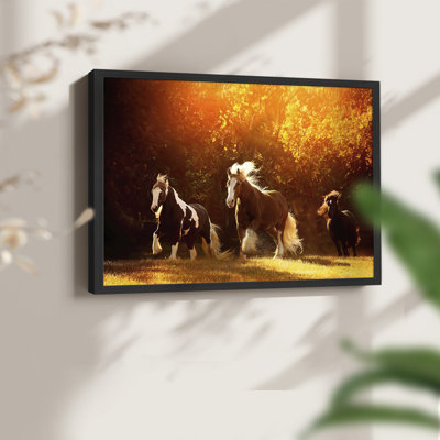 «Horse Motion V», impression encadrée