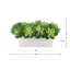 Faux Succulent Ceramic-2144392898
