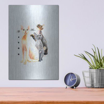 "Devon Rex" par Barbara Keith