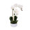 Real Touch Phalaenopsis Orchids in White Ribbed Pot