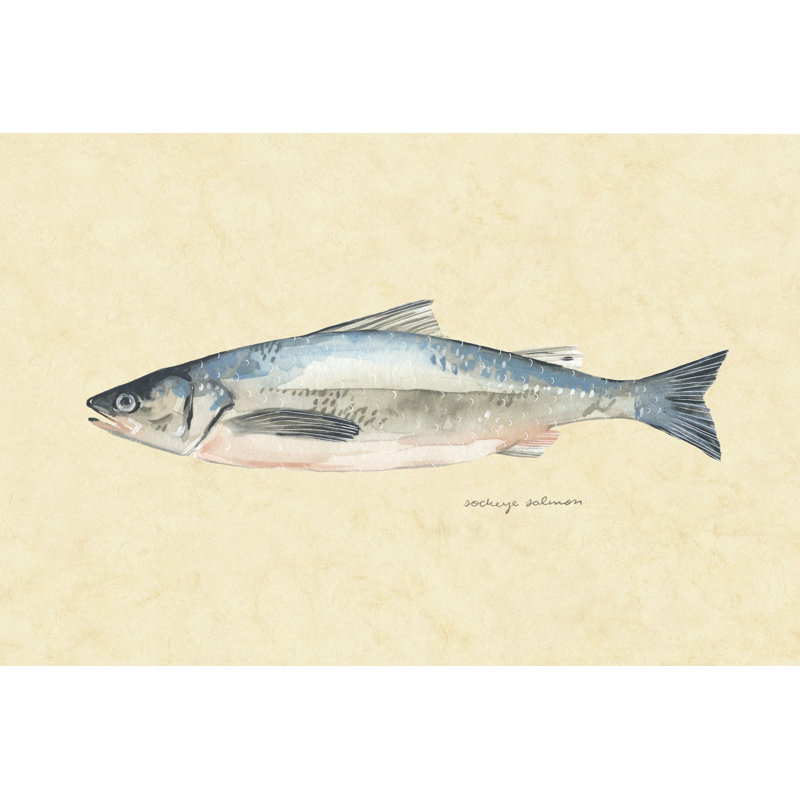Catch Of The Day IV by Emma Scarvey - Painting on Canvas, 61 cm H x 91 cm W, Wrapped Canvas