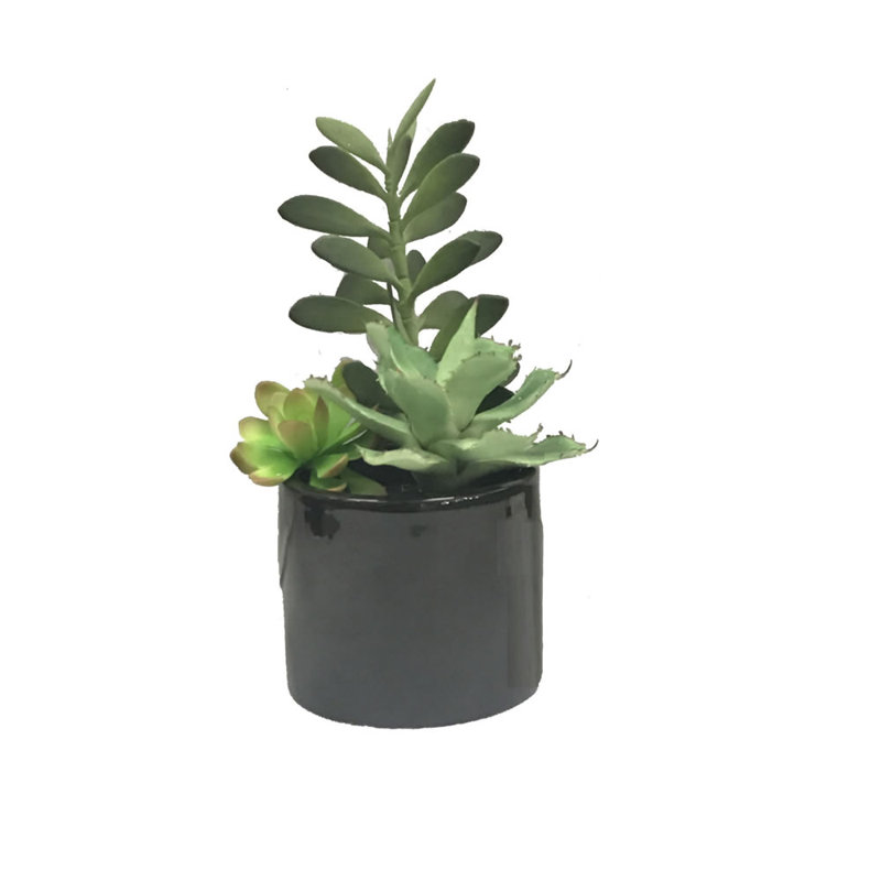 9'' Faux Succulent in Cement Pot
