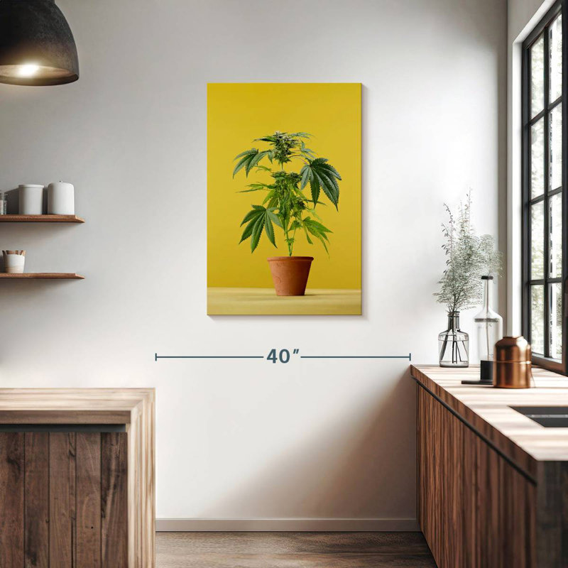 Marijuana en pot, H 36 po x l 24 po