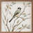 Solo Bird On Branch