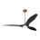 IC Brisa LED Downrod Ceiling Fan