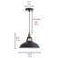 Luminaire suspendu 1 lumière Gowanus