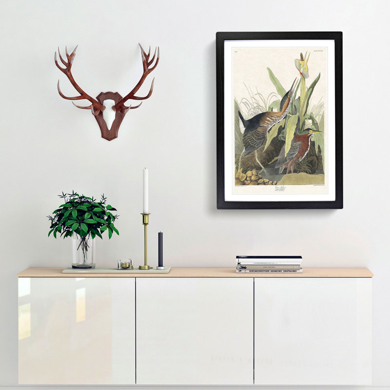 Green Heron by John Audubon - Picture Frame Painting Print, 36cm H x 27cm W x 2cm D, Black Framed