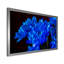 «Blue Chrysanthemum Flowers on Black II», photographie sur toile-59708215-59708214