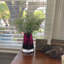 Arrangement floral Castillo