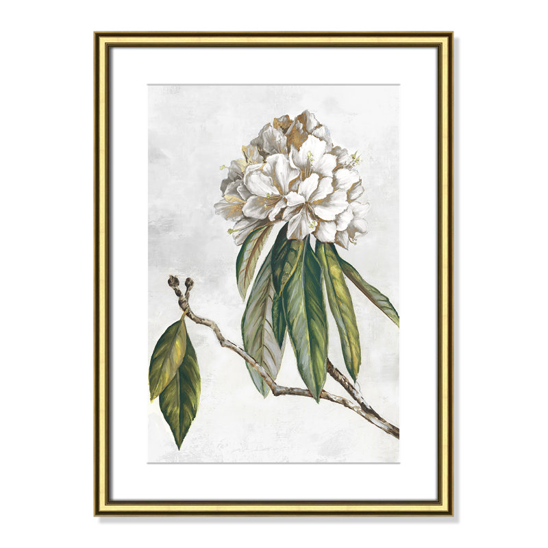 «Pearly Beauty II» par Eva Watts, Imprimé mat, L 18,25 po x H 24,25 po, Or classique