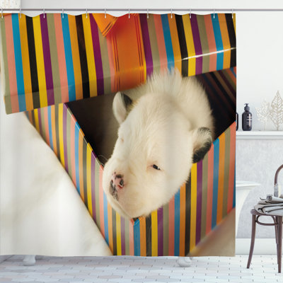 East Urban Home Puppy Shower Curtain Dog in Gift Box Photo