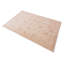 Additri Oriental Hand Woven 121cm X 184cm Area Rug