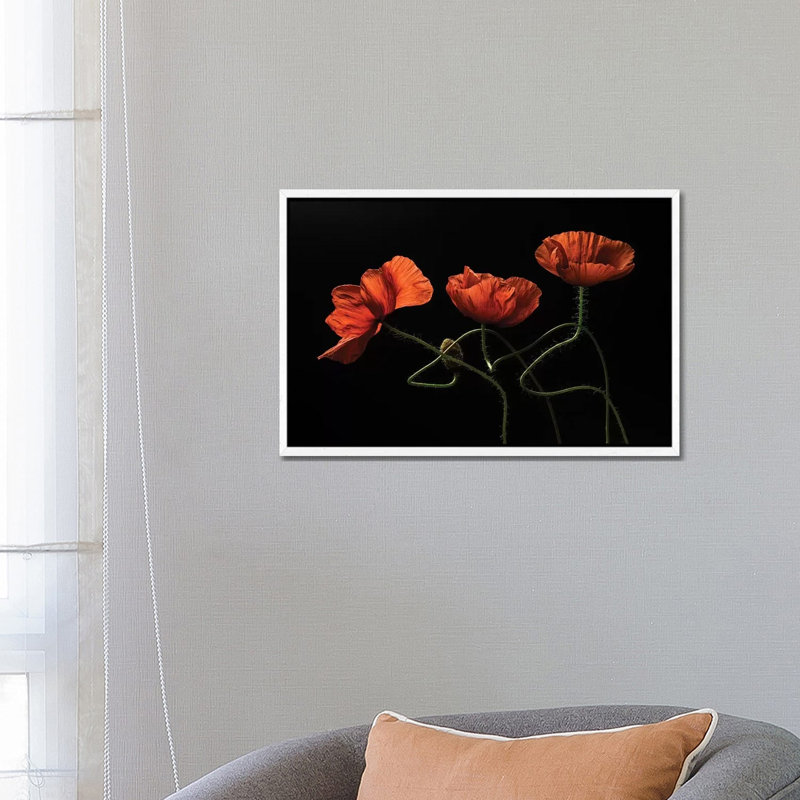 Around Midnight #2 by Lenka - Print on Canvas, 45.72cm H x 66.04cm W x 3.81cm D, White Floater Framed