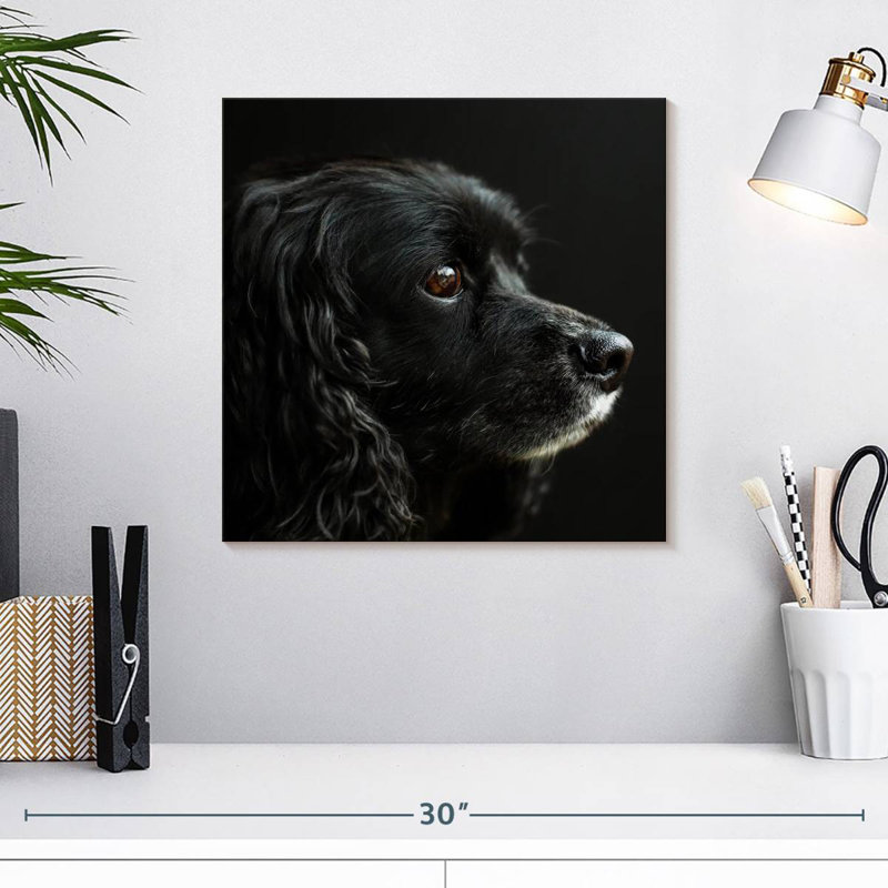 Cocker Spaniel Portrait, 16" H x 16" W