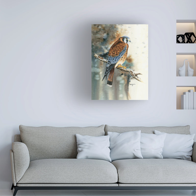 Art sur toile Dave Bartholet Kestrel, H 14 po x l 19 po