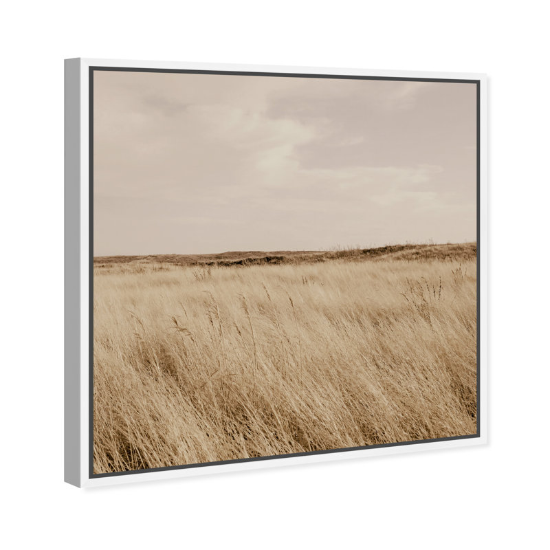 Golden Nature Print by Oliver Gal, 21" H x 21" W, White Floater Frame