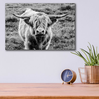 «Highland Cow Staring Contest» par Nathan Larson