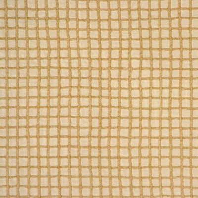 Silk Fabric