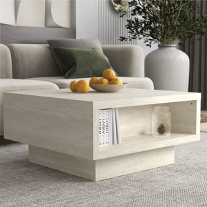 https://assets.wfcdn.com/im/96925184/resize-h300-w300%5Ecompr-r85/2859/285928117/Caomhan+Pedestal+Coffee+Table+with+Storage.jpg