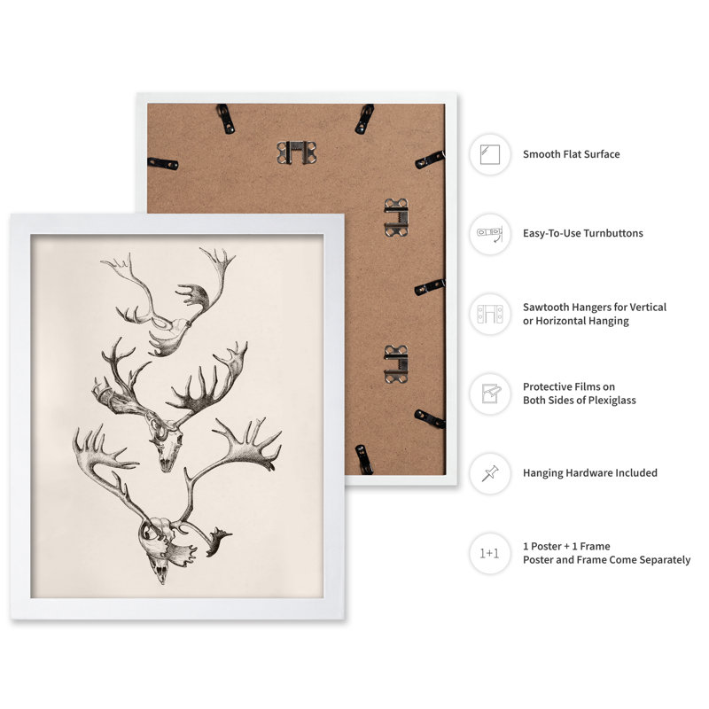 Crâne et bois, 11"H x 14"W, Poster, White Framed
