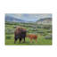 «Bison and Calf» de Fillmer, reproduction de photo sur toile tendue-30362793