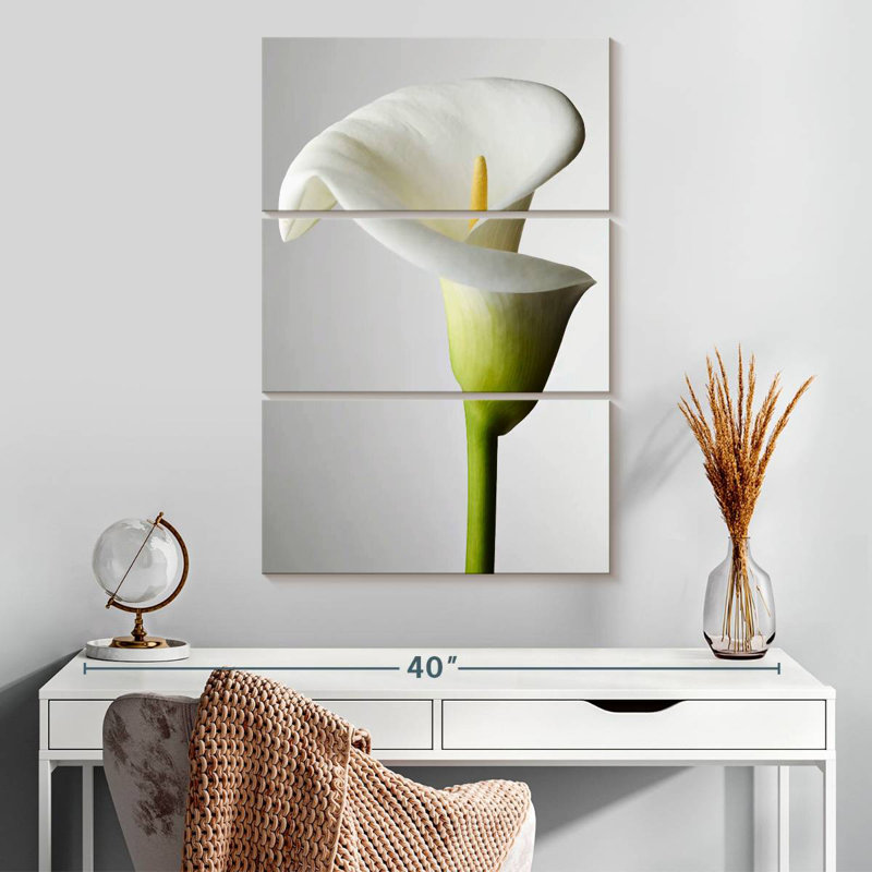 Harnek Fresh Calla Lily, 32" H x 20" W