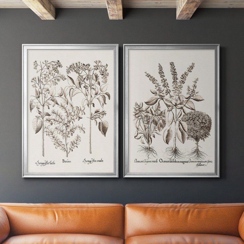 «Sepia Besler Botanicals I», ensemble de 2 reproductions d'art sur toile encadrées, H 42,5 po x l 61 po x P 1,25 po, Argent
