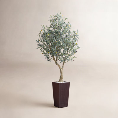 Adcock 84" Olive Tree in Decorative Vase