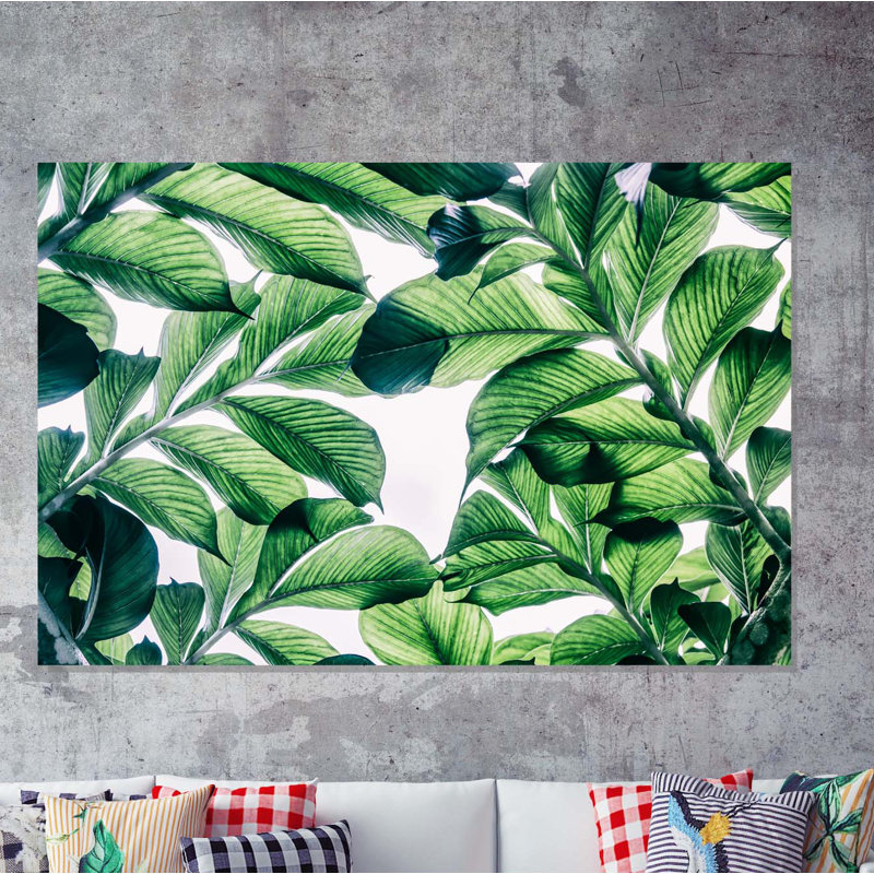 Andrew Lee - Wrapped Canvas Print, 31cm H x 46cm W