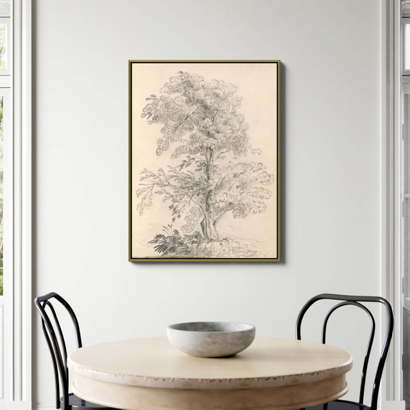 «Tree Sketch» par Wild Apple, Toile avec cadre flottant or, Non, H 40 po x l 30 po