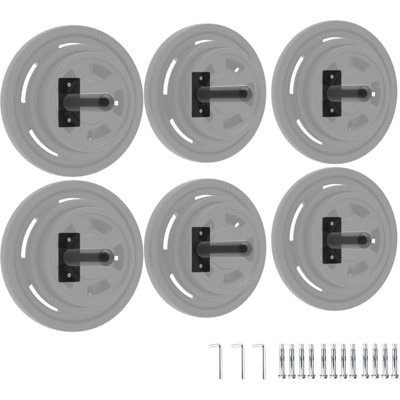 6 Pack Wall Mounted Steel Weight Plate Storage Rack with Rubber Protective Pads, Fits 2 Inch Bumper Plates, Max 300 LB Load Capacity, Complete Mount Hardware for Home Gym Weight Organization