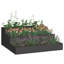 Planter Box-1090422184