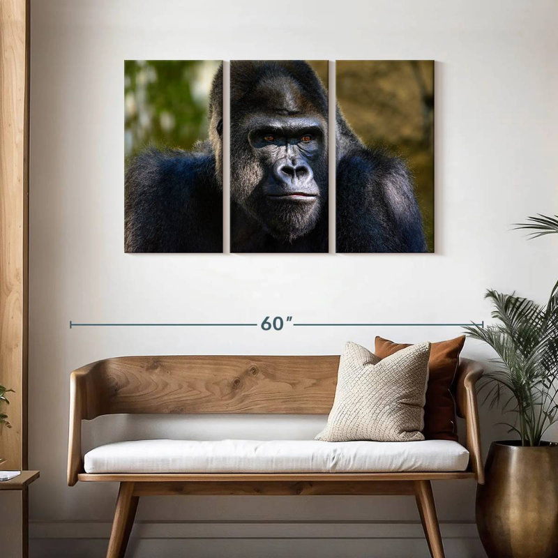 Mountain Gorilla