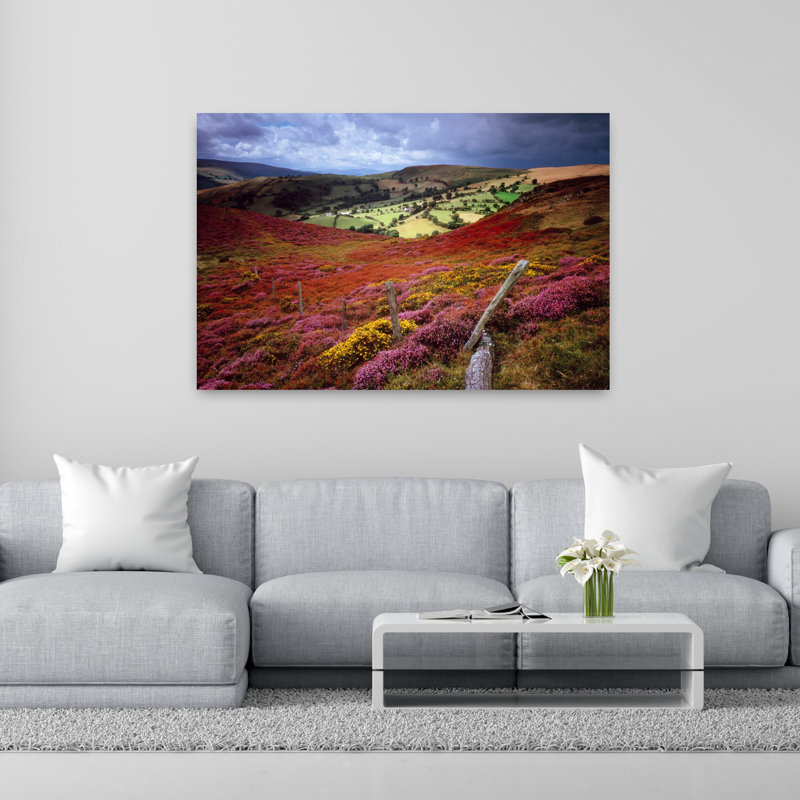Meadow Clwyd Nr Llangollen, Pays de Galles, art abstrait contemporain de fleurs colorées, H 40 po x l 60 po