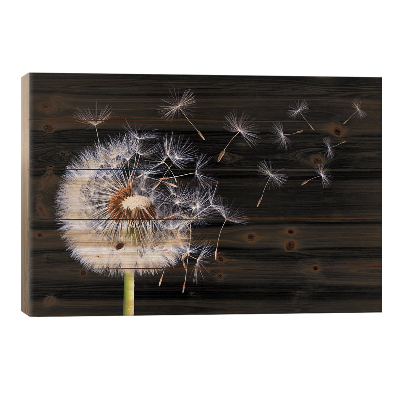 «Dandelion Blowing I» par Bess Hamiti, impression sur bois sans cadre, L 26 po x H 18 po