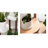 Lamarria Plant Stand-525859989