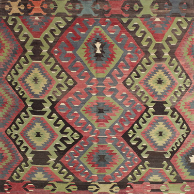 Santibanez Oriental Indoor Rug