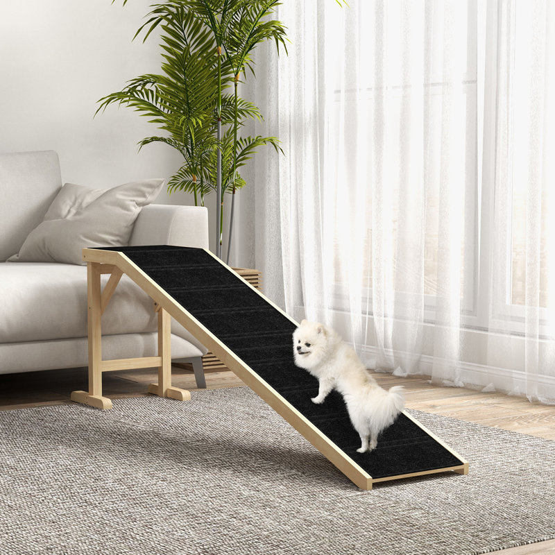 Rampe pour animaux de compagnie Jalissa, Or/noir, H 25 po x l 74 po x P 16 po