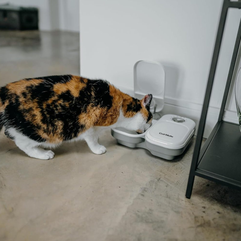 Anti-Skid Elevated Feeder