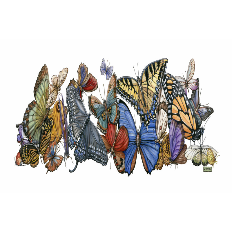 Wings Of Splendor I - Wrapped Canvas Print, 30cm H x 46cm W x 3.8cm D