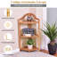 Stagbriar 85 cm H x 32 cm W Corner Bookcase