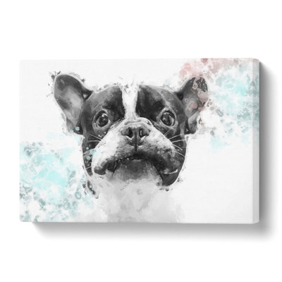 French Bulldog Dog - Wrapped Canvas Painting