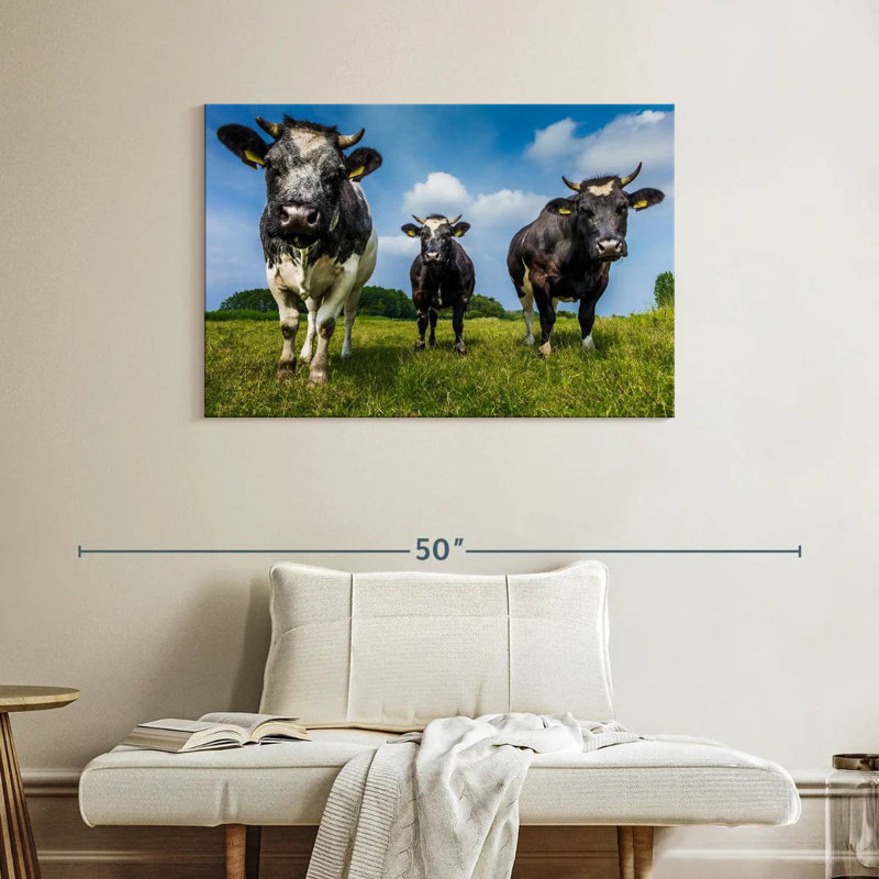 Vache, H 26 po x l 39 po