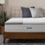Surmatelas en bambou et mousse viscoélastique gélifiée 3 po avec housse Lucid-97749679-117393675