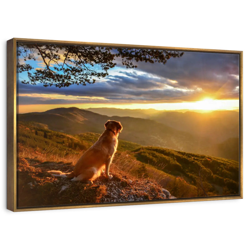 Chien regardant le lever du soleil, 25 po x 17 po, Cadre flottant doré