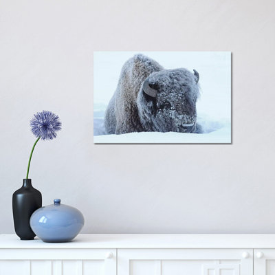 Frosty 1 Piece Wrapped Canvas Wall Art