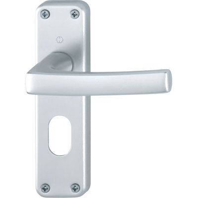 DubayyInterior Mortise Door Handle